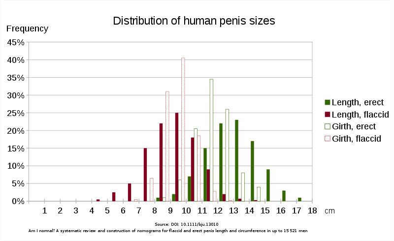 distribution de la taille du pénis